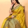 Weekend Banarasi-look Saree